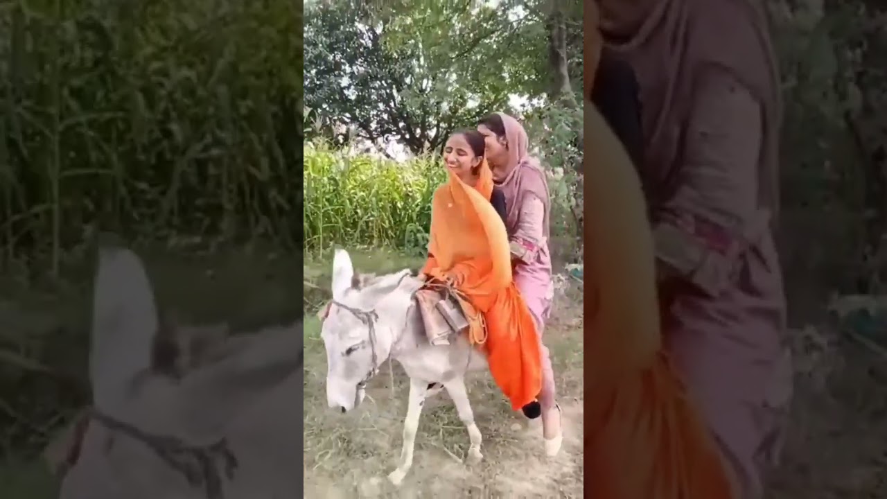 latest viral video 2023 | Donkey ride | funny donkey ride| ladies donkey ride