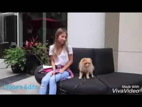 Layla ship cute moments (Logan Paul & Ayla Woodruff)