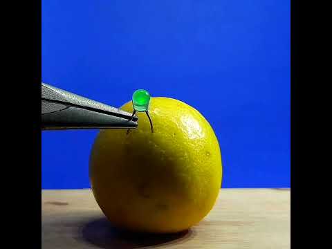 LED light lemon science experiment project / simple electronics science experiment #electronics