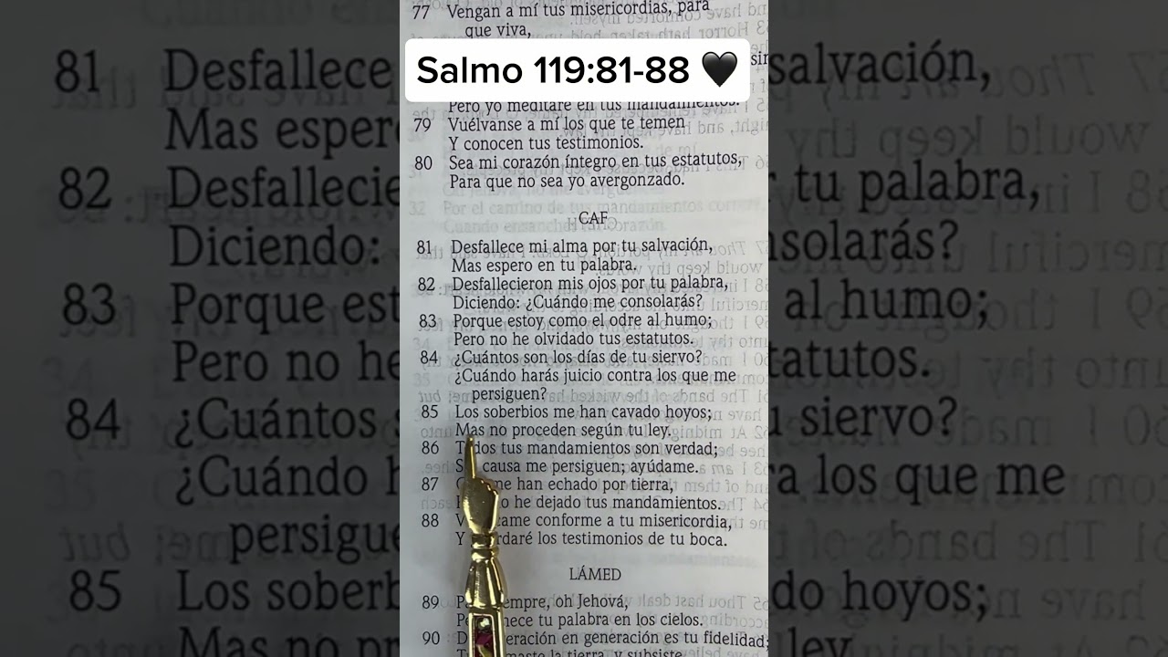 Lee la Biblia conmigo 1 minuto 📖|Salmo 118:80-88 #music #pianomusic #salmo #biblia