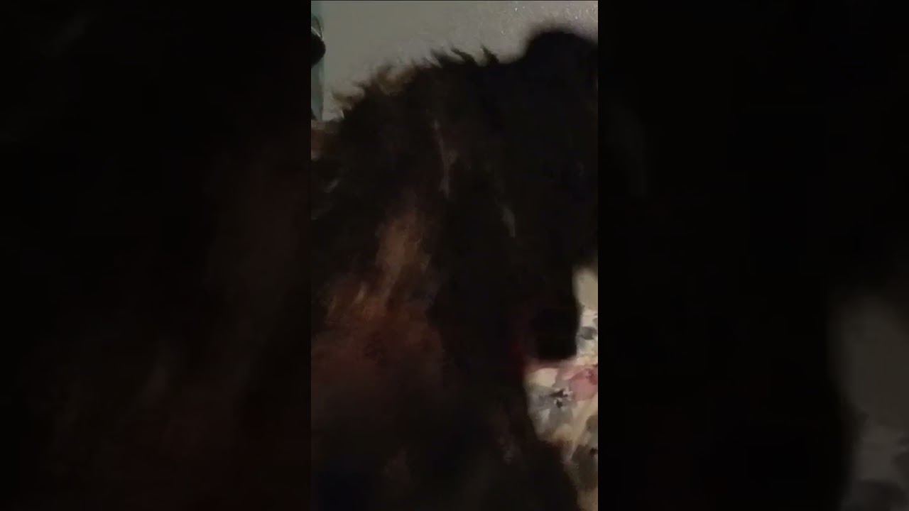Leia's nightly ritual