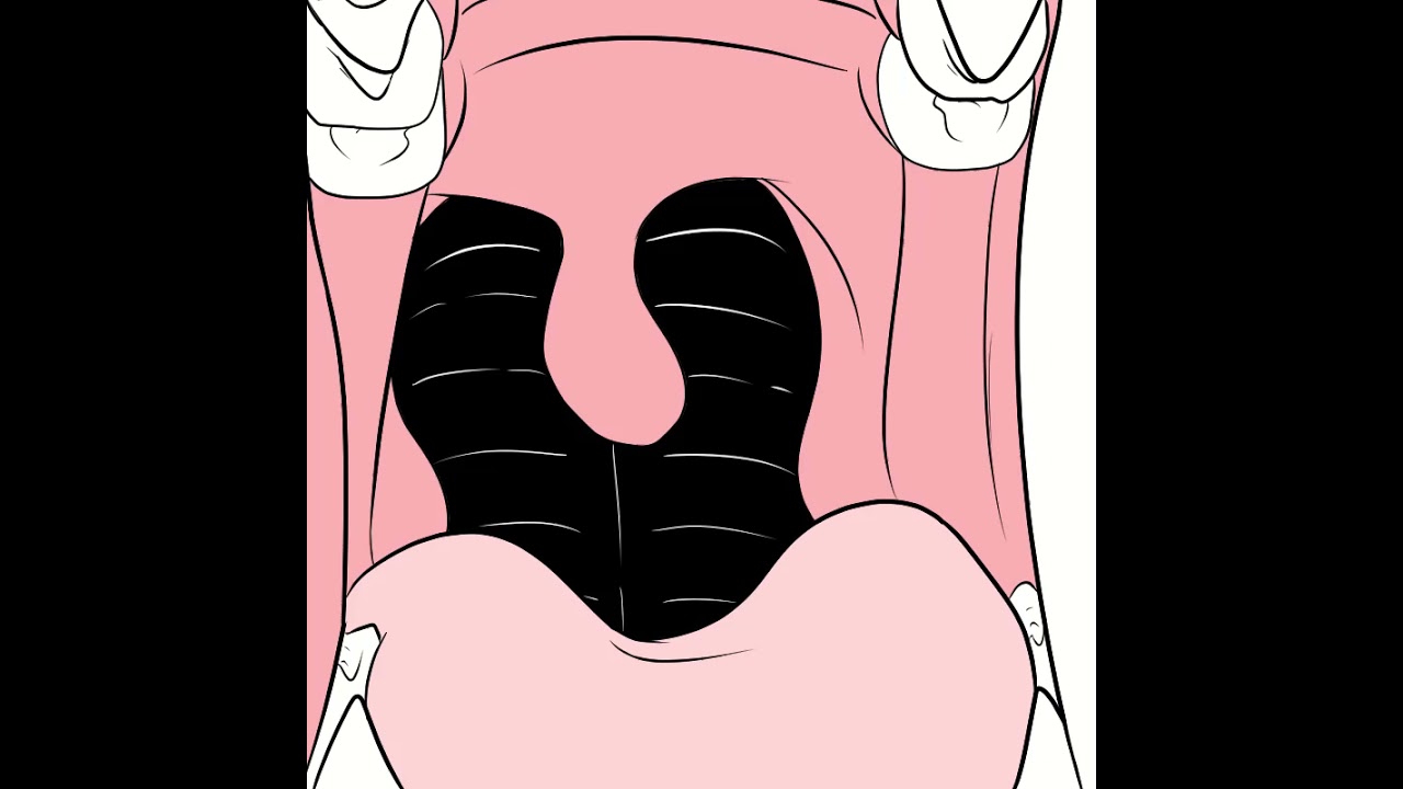 Leshana maw animation