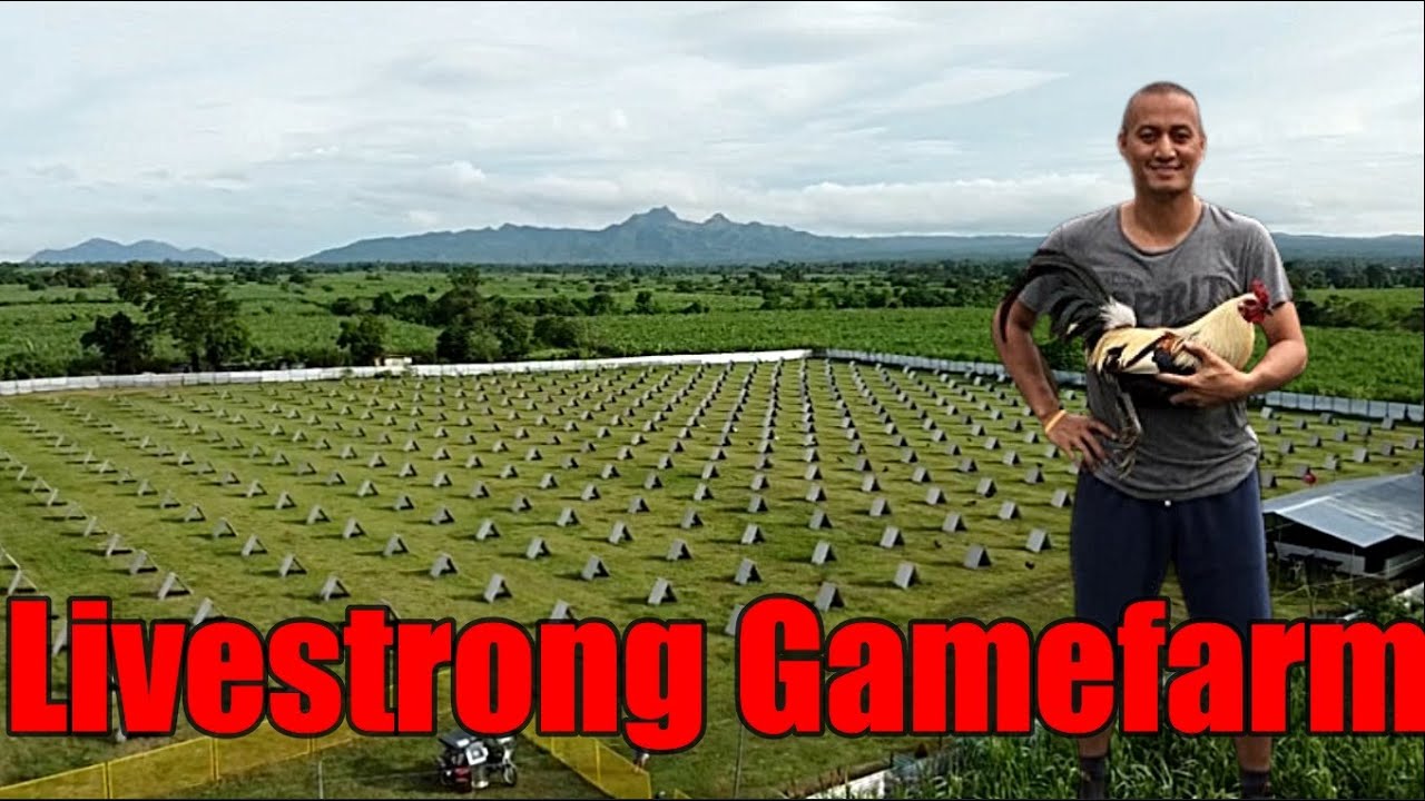 Lets Visit The Farm Of Livestrong Gamefarm