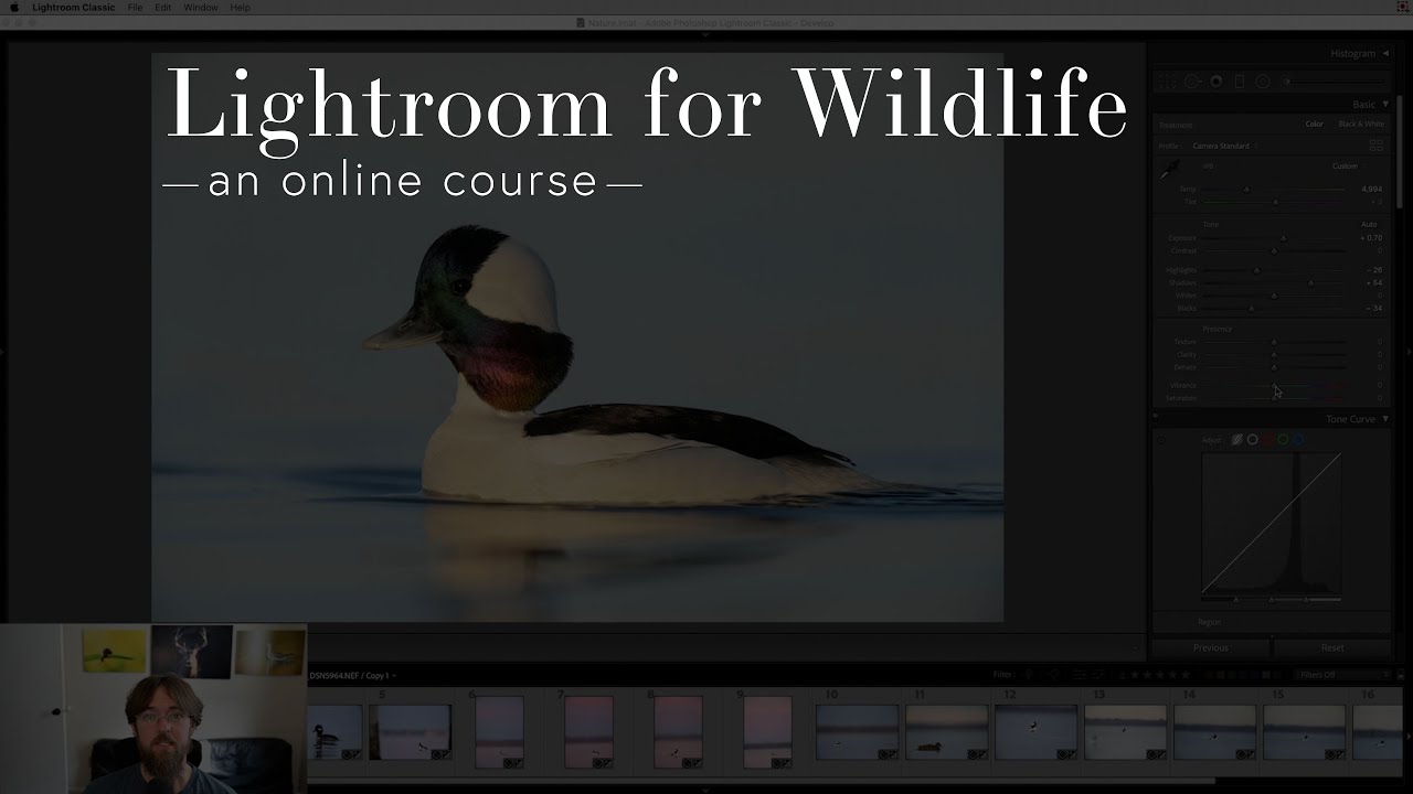 Lightroom for Wildlife Photography Trailer