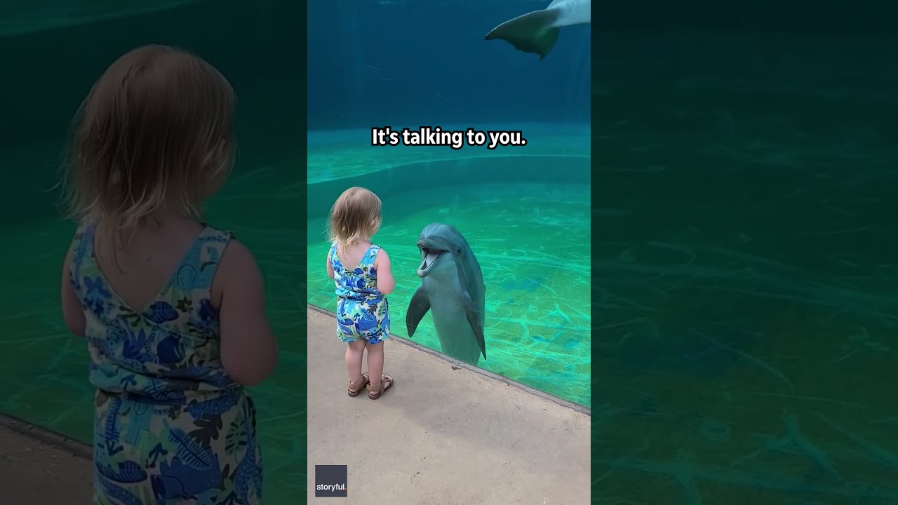 Little girl and super social dolphin stop to have a sweet chat | Humankind #shorts #goodnews