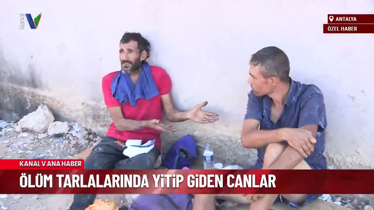 Ölüm tarlalarında yitip giden canlar