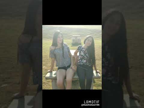 lomotif 15