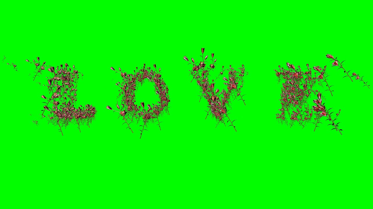 Love-FOOTAGE