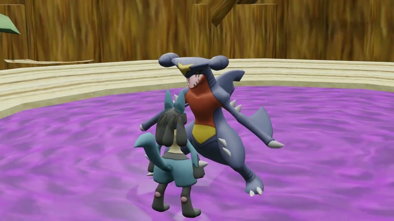 Lucaio Vs. Garchomp