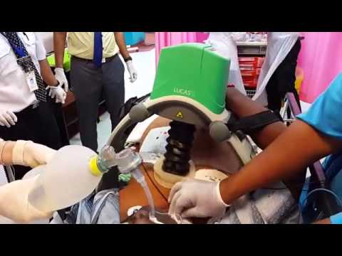 Lucas CPR