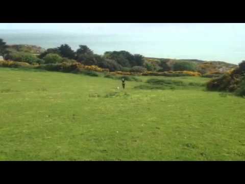 Lucy Zara farm