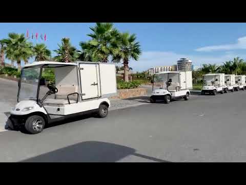 LVTONG Electric Golf Cart A627 Model Buggy