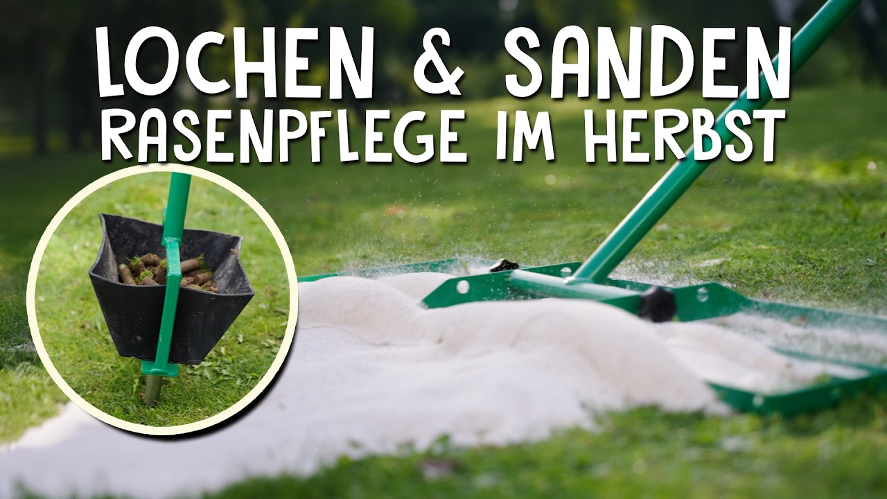 Löwenzahn bekämpfen & Rasen stärken – Schritt für Schritt erklärt!