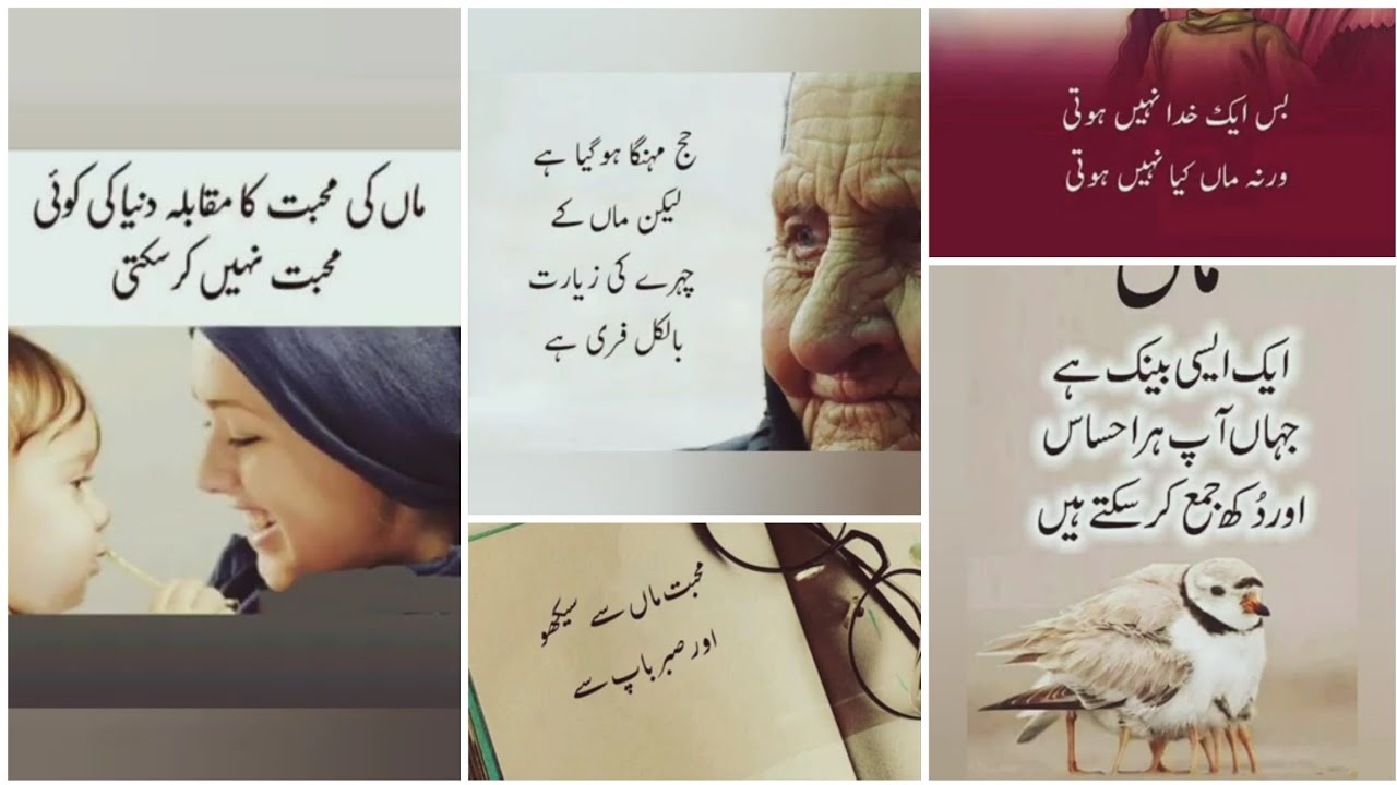 Maa ke liye Aqwal e Zareen ✨💖||Urdu Quotes 💯||Amazing Quotes In Urdu||Urdu Aqwal 💞||Motivational
