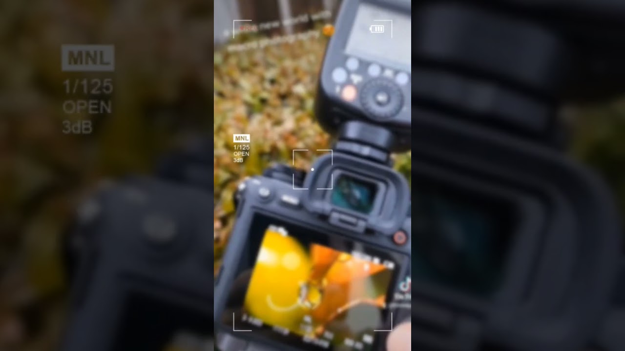 macro photography laowa 90mm f2.8 2x #sony #laowa #shorts #macrophotography