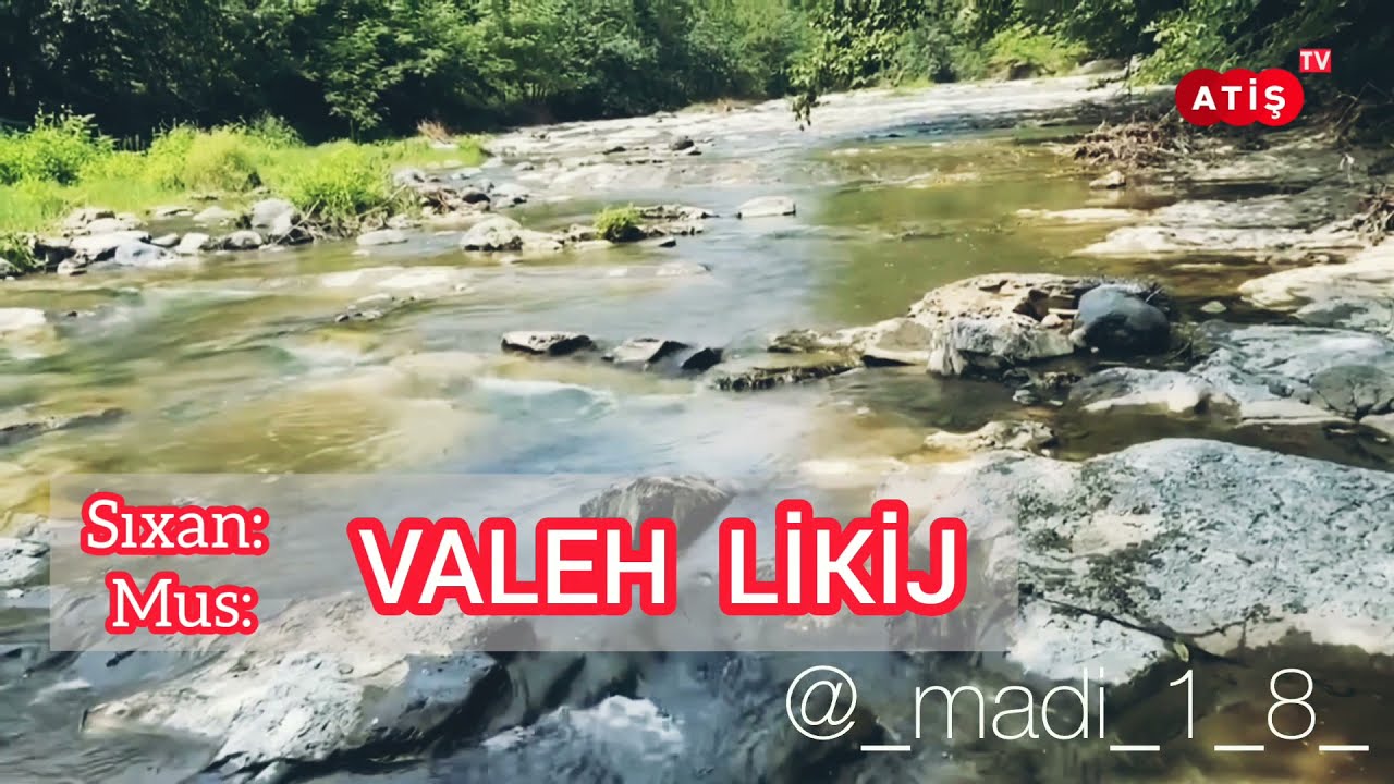 MADİ - CON TOLIŞE