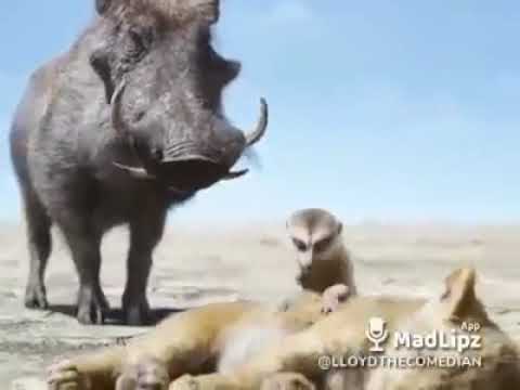 Madlipz afrikaans