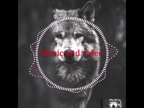 Mafia Muzik - Bass Trap Remix - EmkaMuzik | Kurtlar Vadsi Muzik.