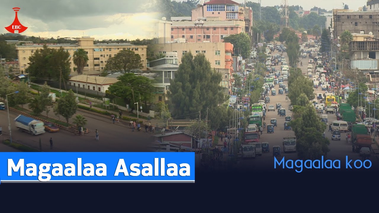 Magaalaa koo - Magaalaa Asallaa