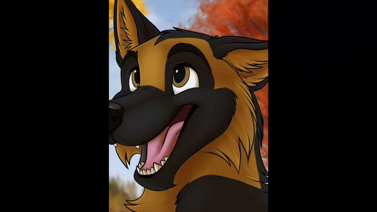 Male Shepherd’s Big Maw