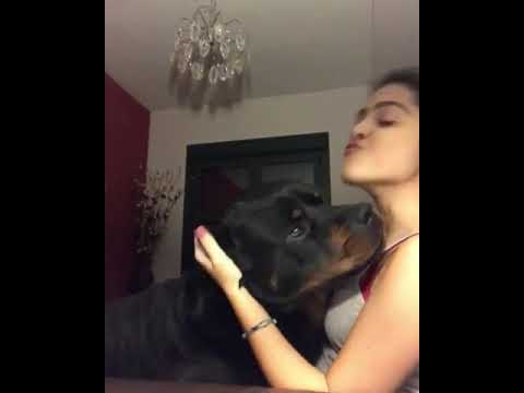MALU TREVEJO CON SU MEJOR AMIGO EL PERRO