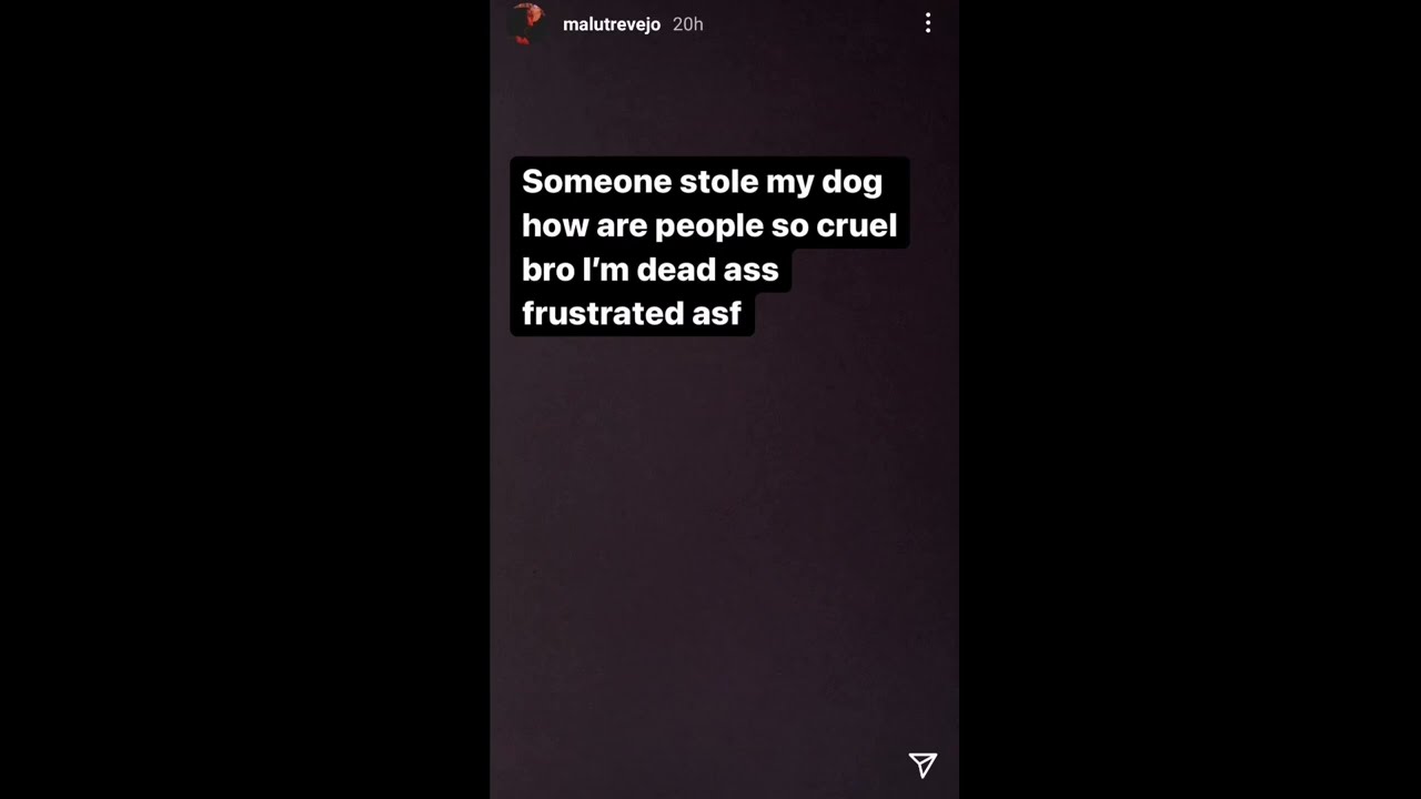Malu Trevejo cries on dog being stolen