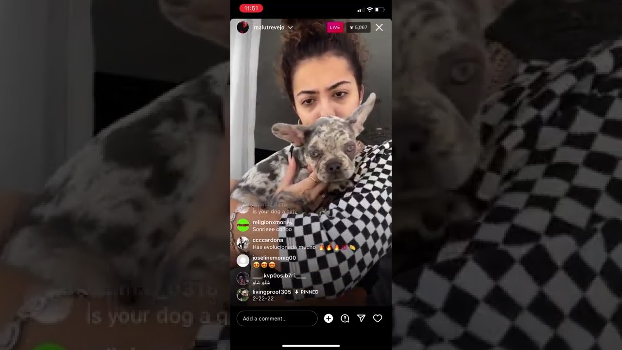 Malutrevejo and her dog ig live