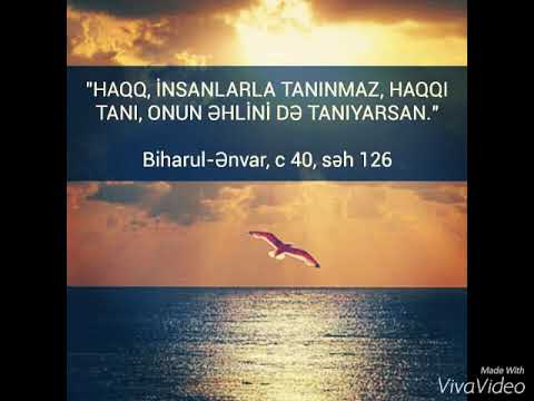 İmam Əlinin(ə)əvəzolunmaz kəlamları