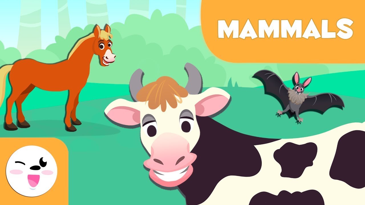 Mammals for kids - Vertebrate animals - Natural Science For Kids
