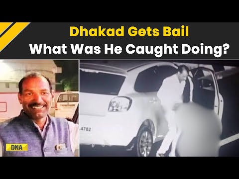 Manohar Dhakad Viral Video: Madhya Pradesh Leader Gets Bail In Obscene Act Case? What Was He Doing?
