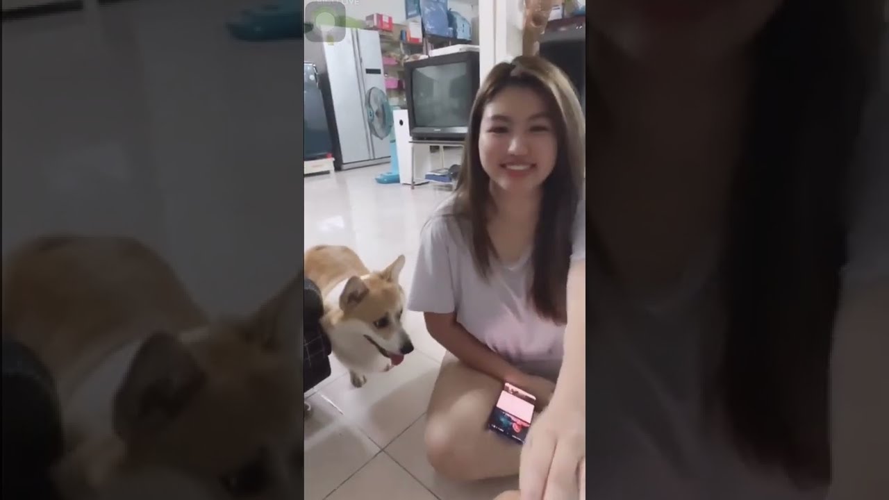 Manow & smart dog