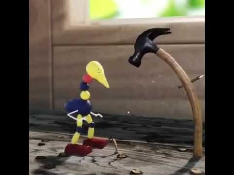 Maraqlı video