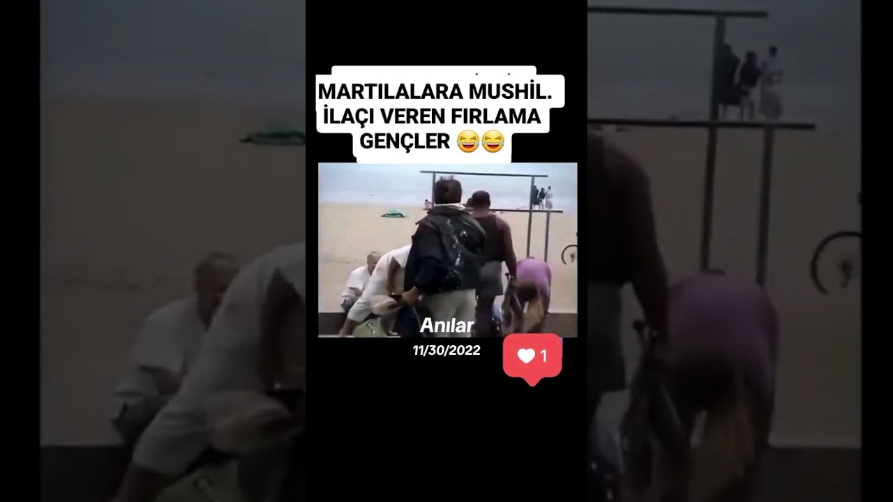 Martılara müsil ilacı veren fırlama gençler 😂😂