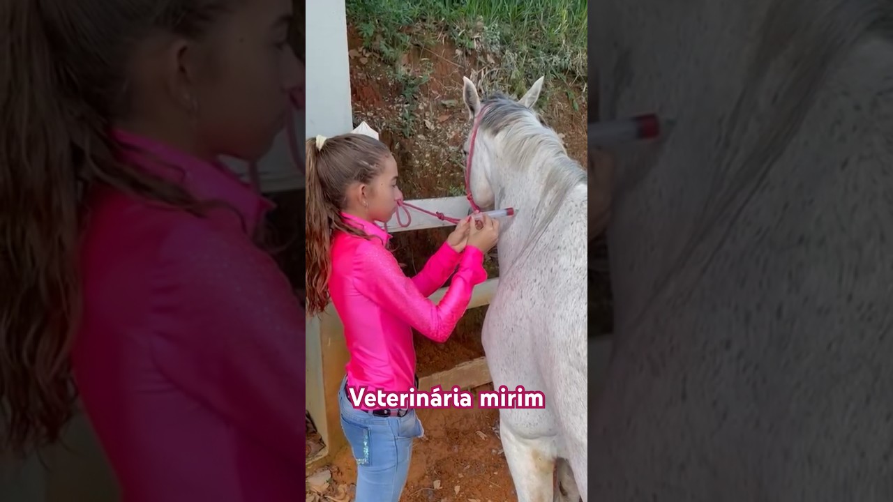 #mato #éguas #cavalos #roça #cavalo #égua #vacina #suplemento #veterinária mirim