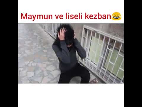 Maymun Ve Liseli Kezban
