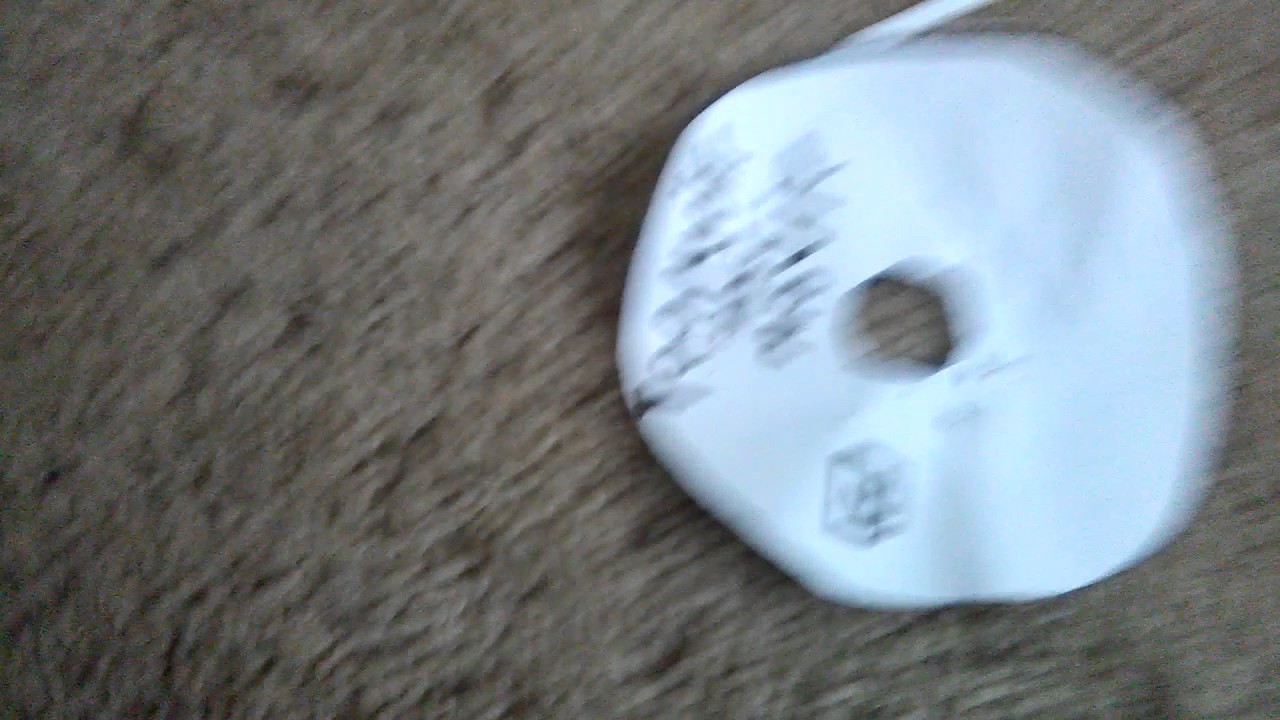 Me Destroying Toonsville Movie DVD