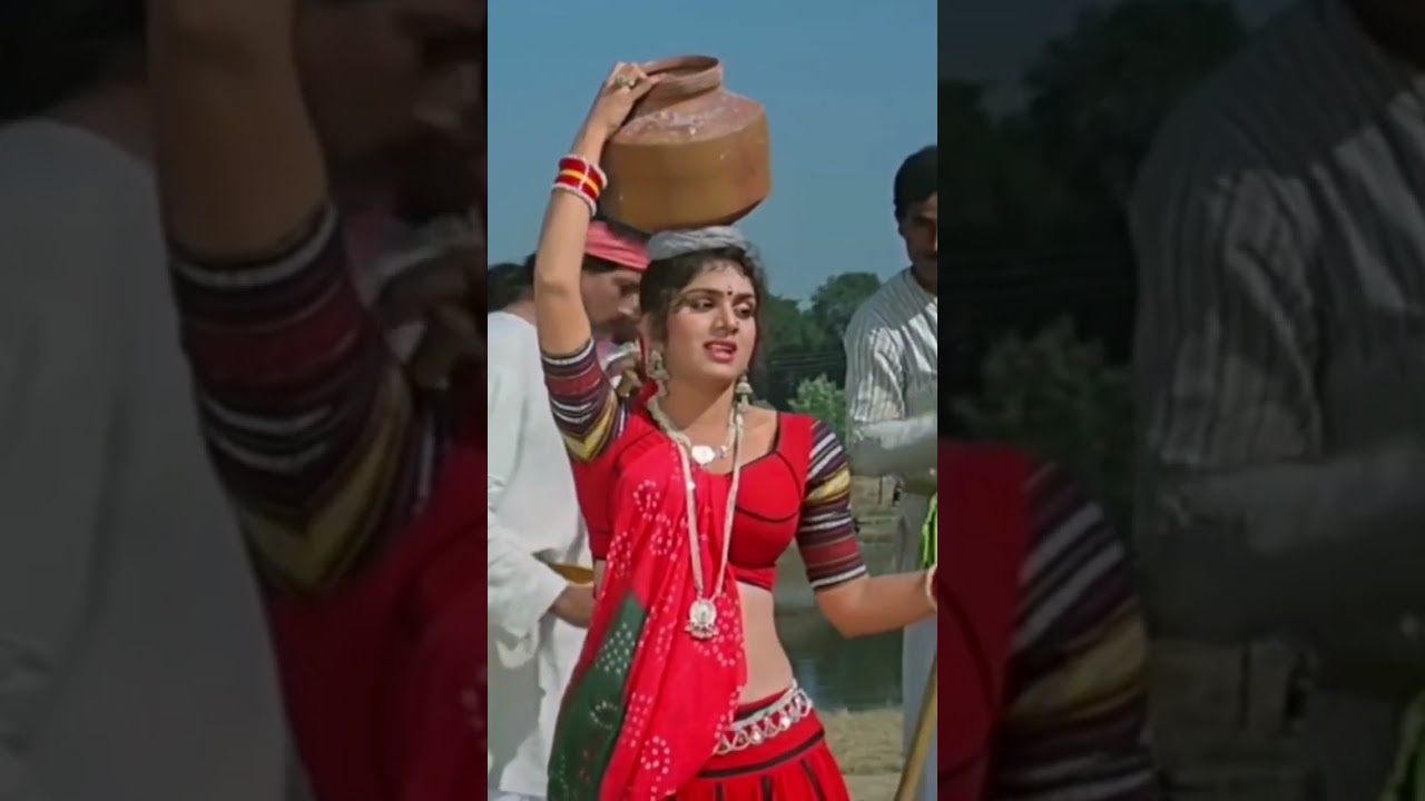 meenakshi seshadri are oh lakdi paihlawan
