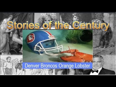 Meet Crush the Orange Lobster
