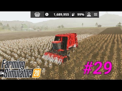 Mega Cotton Harvesting || Farming Simulator 20 || FS 20 || Gameplay #29