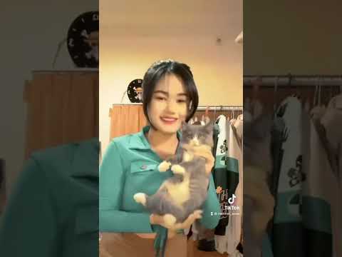 Meimeichan Goyang Bareng Kucing #91 #shorts #short