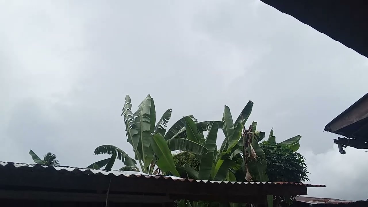 MELIHAT CEWEK CANTIK BERAK 🤣🤪😝