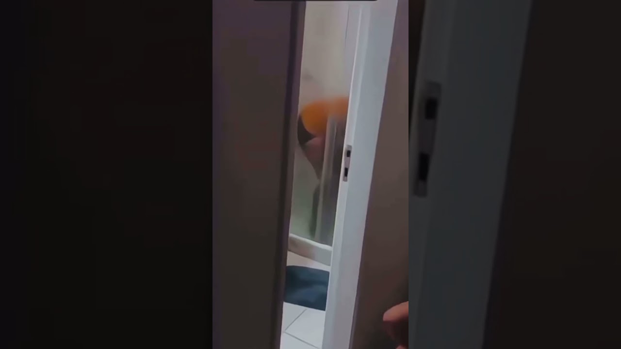 Melissa Mel Maia dançando e rebolando de calcinha fio dental branca , muito gostosa