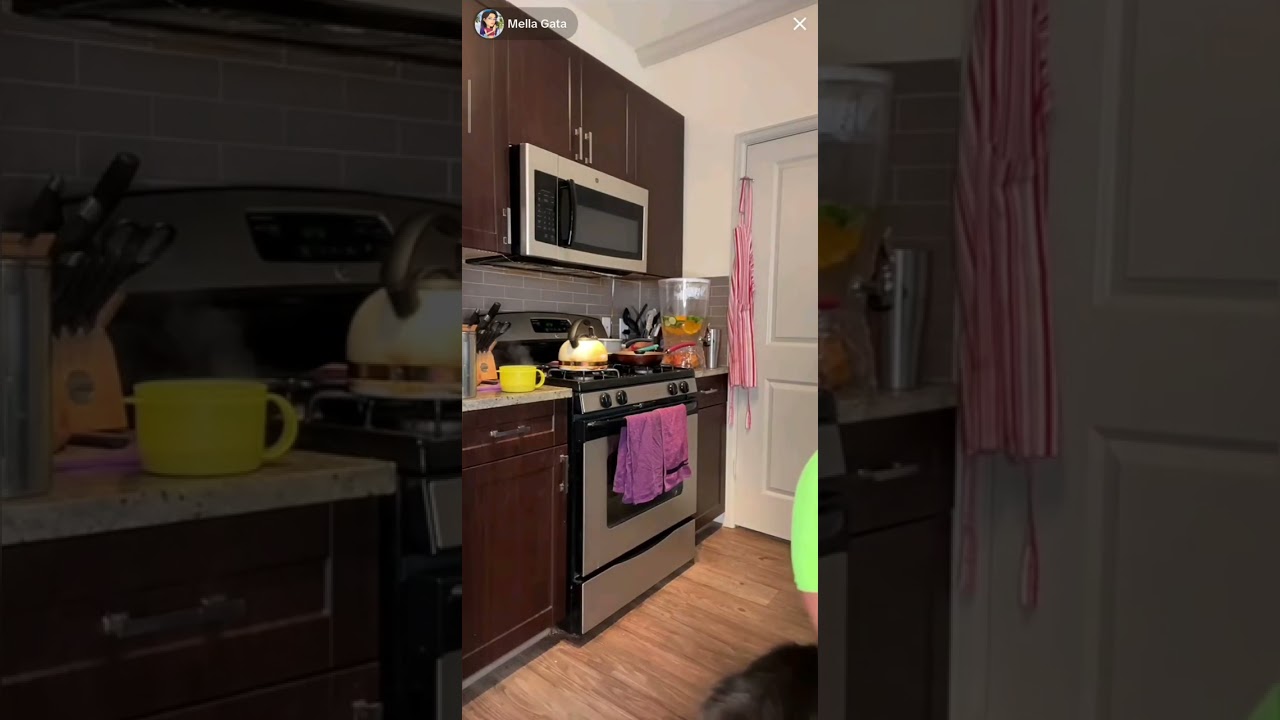 Mella Gata de Shortinho na cozinha 🥰🌹❤️