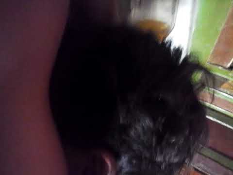 Menis