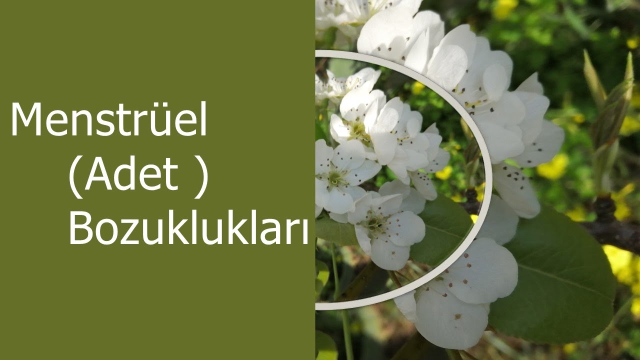 Menstrüel  ( Adet ) Bozuklukları - (Binaural / Isochronic / Enerji Frekansı)