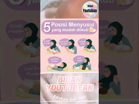 menyusui anak