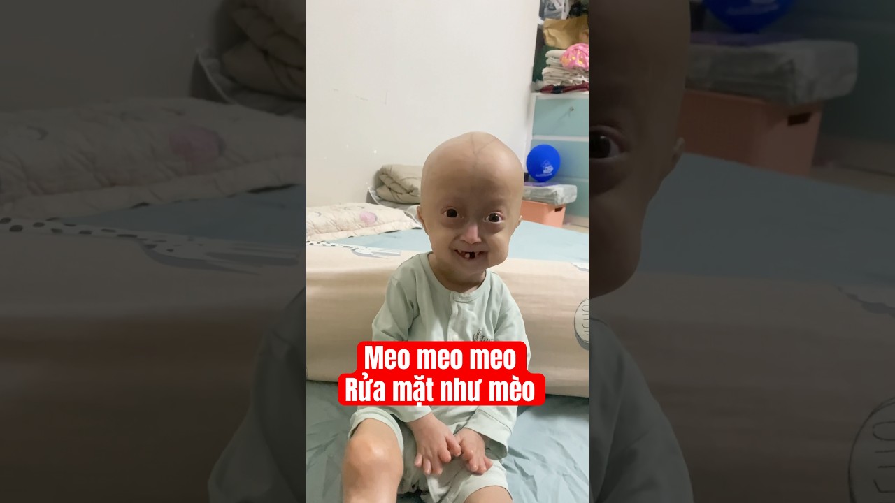 Meo meo meo rửa mặt như Mèo! #begaotihon #tepgaofamily #family  #funny #haihuoc #shorts #progeria
