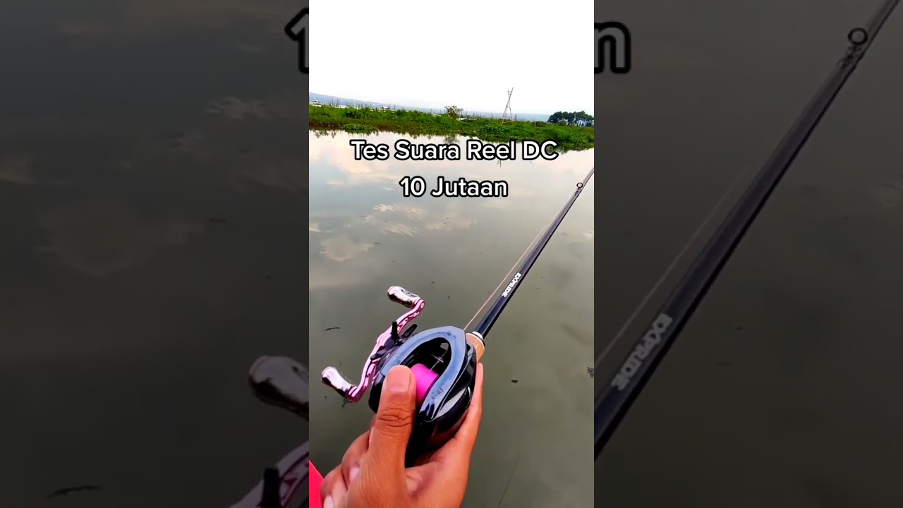 Merdu Sekali Suara Reel BC  #mancing #kail #fishing #castinger #mancingmania #fhishing #angler