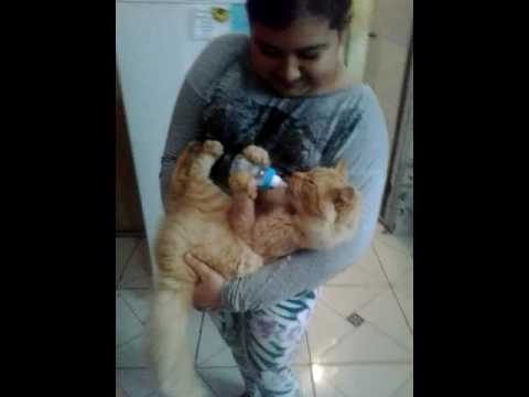 Meu sobrinho mamando