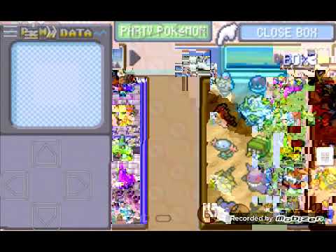 Mi primsr video
